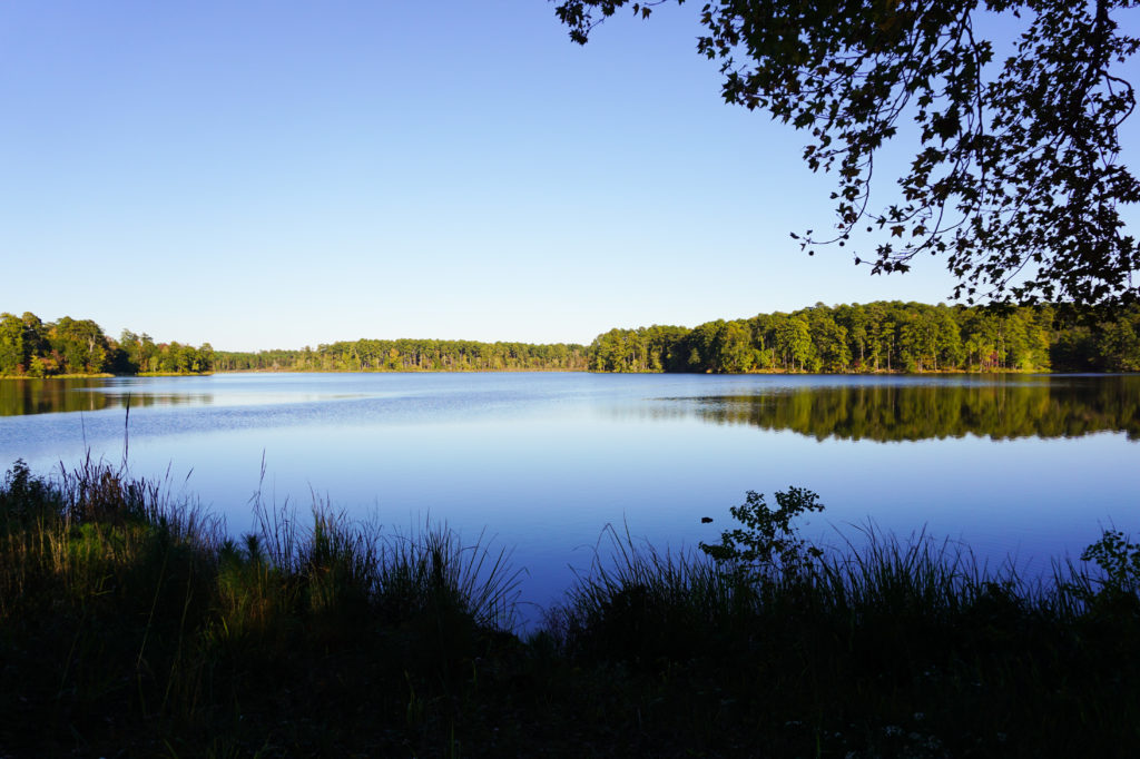 Caney Lakes - Visit Webster Parish - Louisiana